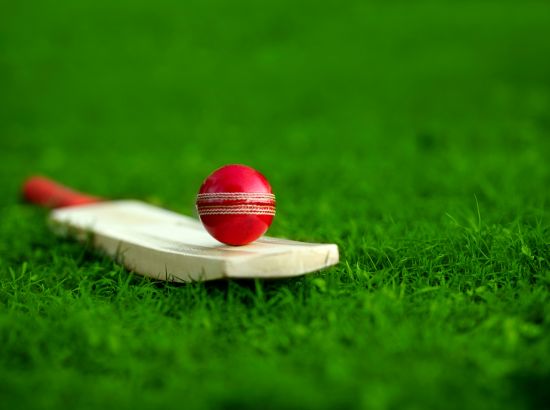 cricket