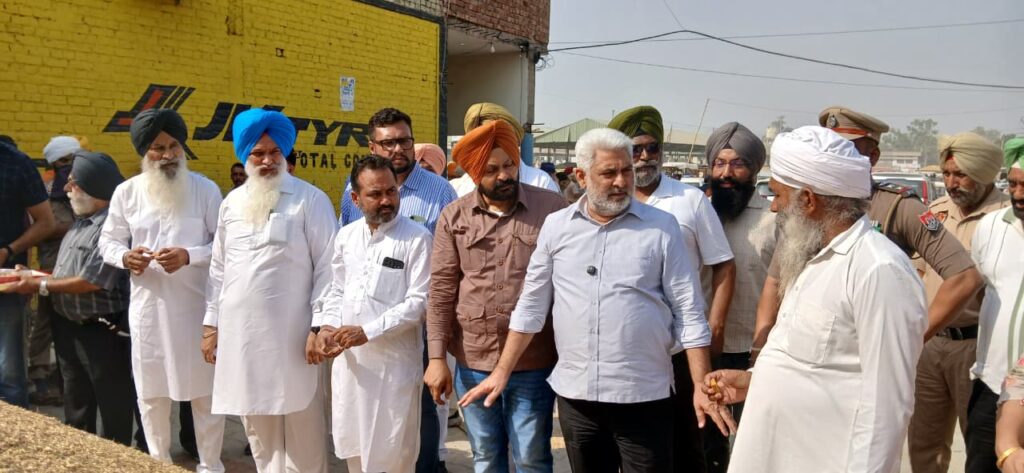 WhatsApp Image 2026-10-03 at 12.41.41 PM (1)